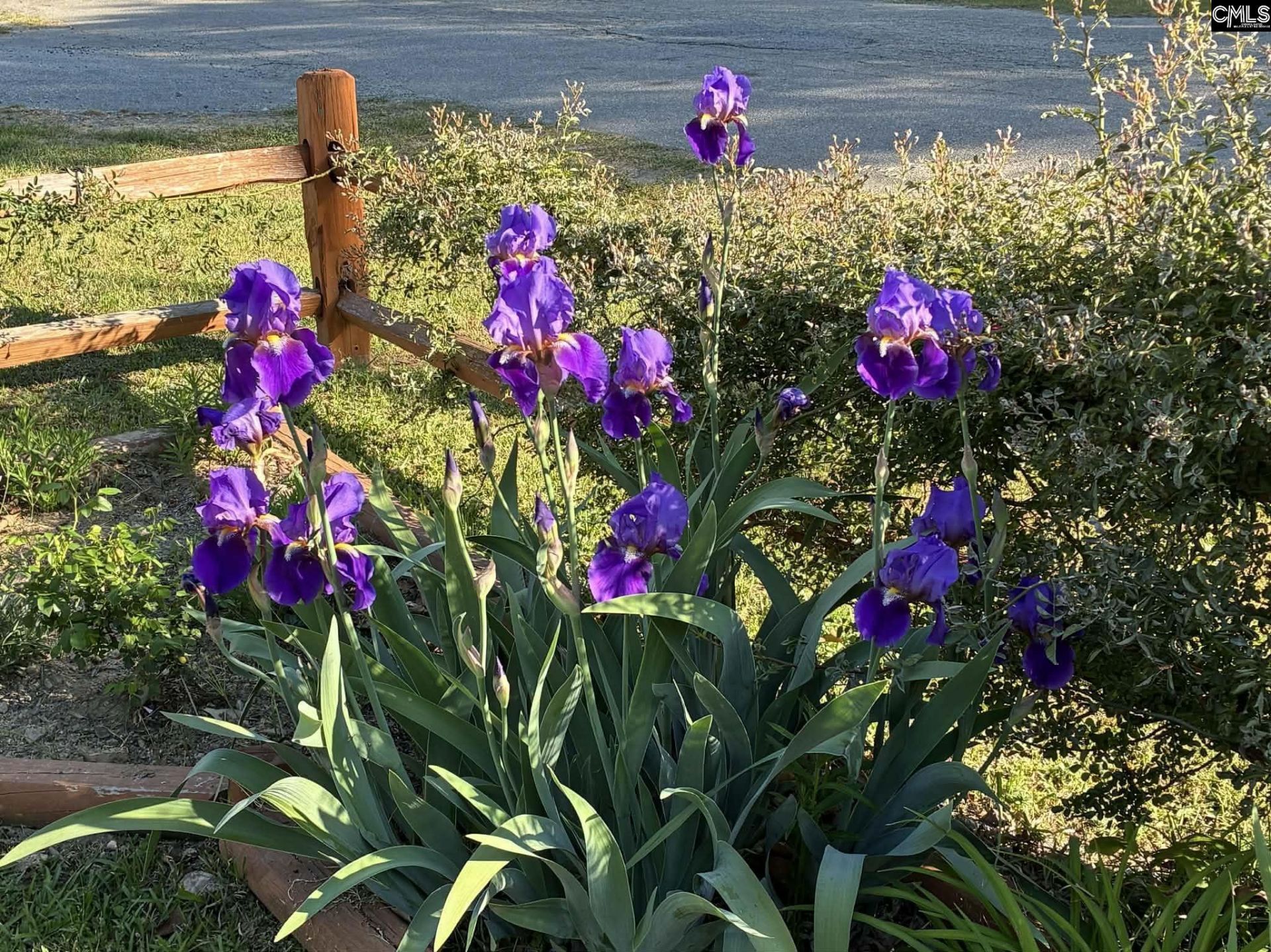 103 Cardinal Cove Road Photo 34