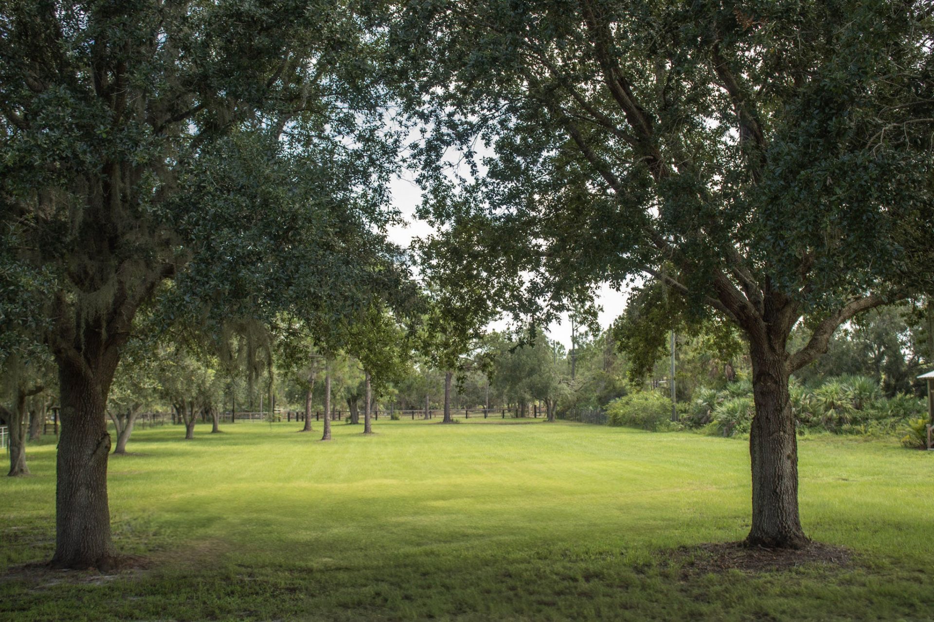 24770 SW 95th Street, Indiantown, FL 34956 Photo