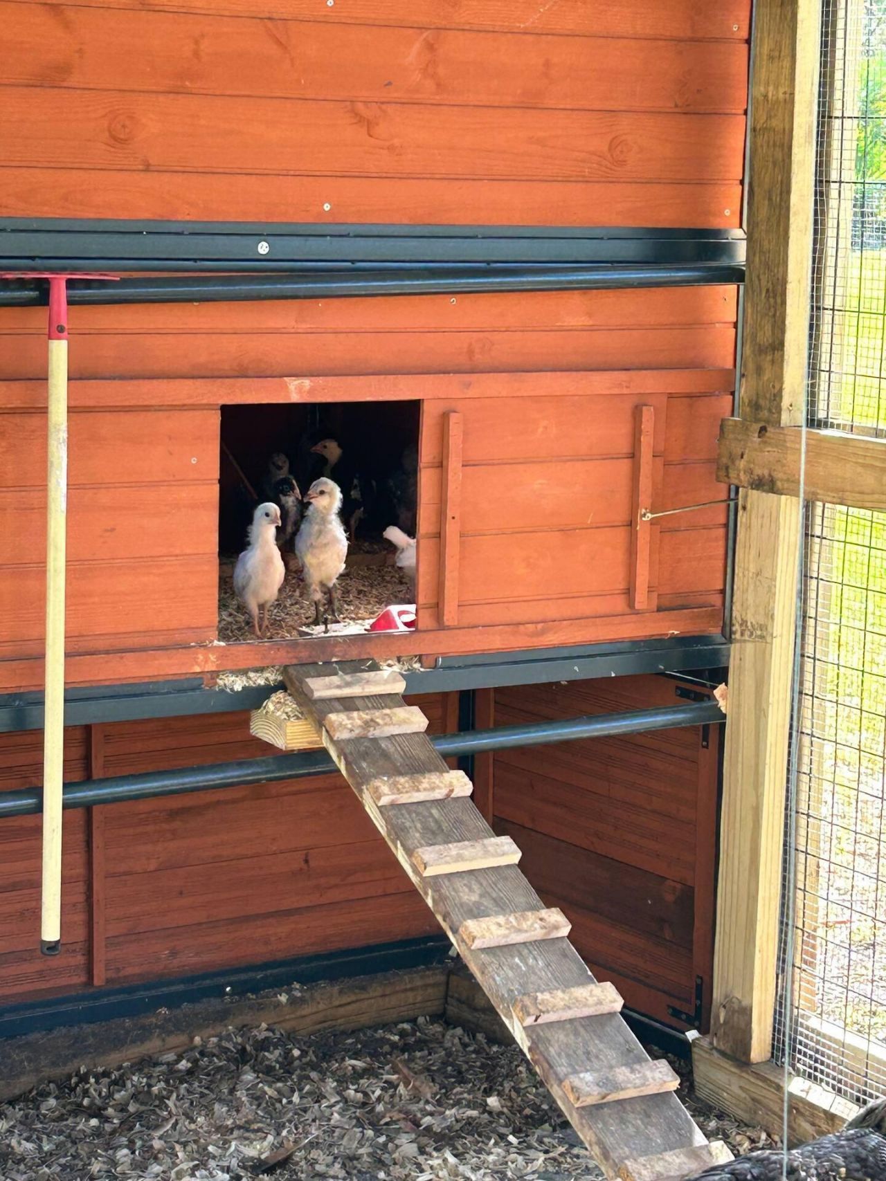 24770 SW 95th Street, Indiantown, FL 34956 Photo