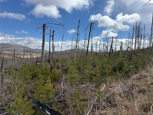 Lot 1960 Hilda Lane, Fort Garland, CO 81133