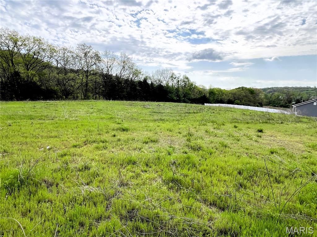 3513 Butler Valley Drive, Imperial, MO 63052 Main Photo