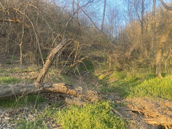 TBD County Road 628, Jay, OK 74346