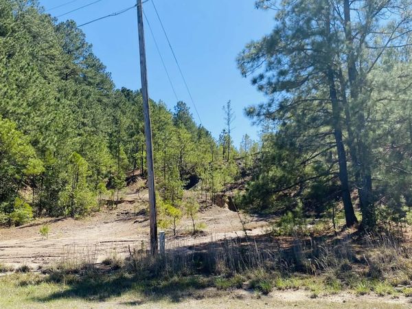 12.91 & 0.83 Acres Bradley Ferry Rd. , Camden, AR 71701