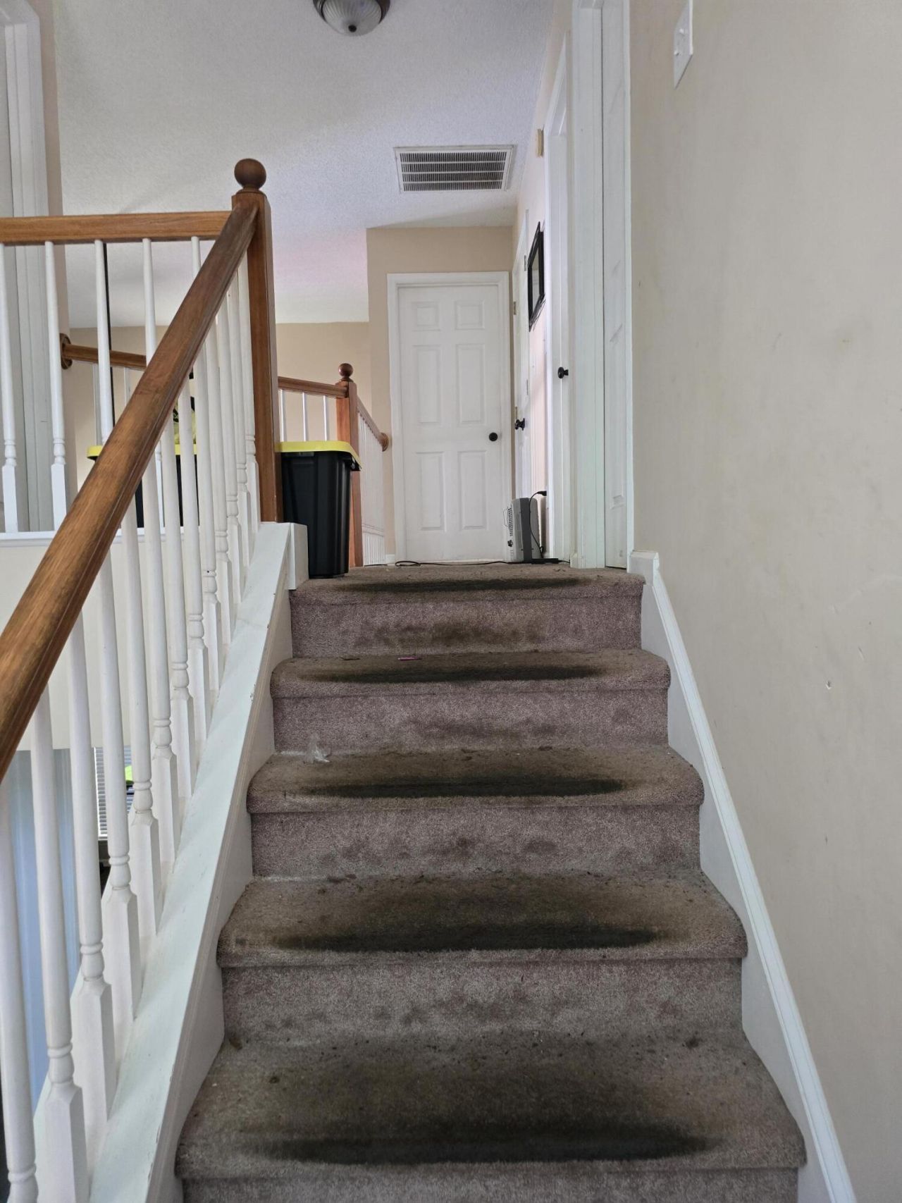 100 Fairbury Drive Photo 7