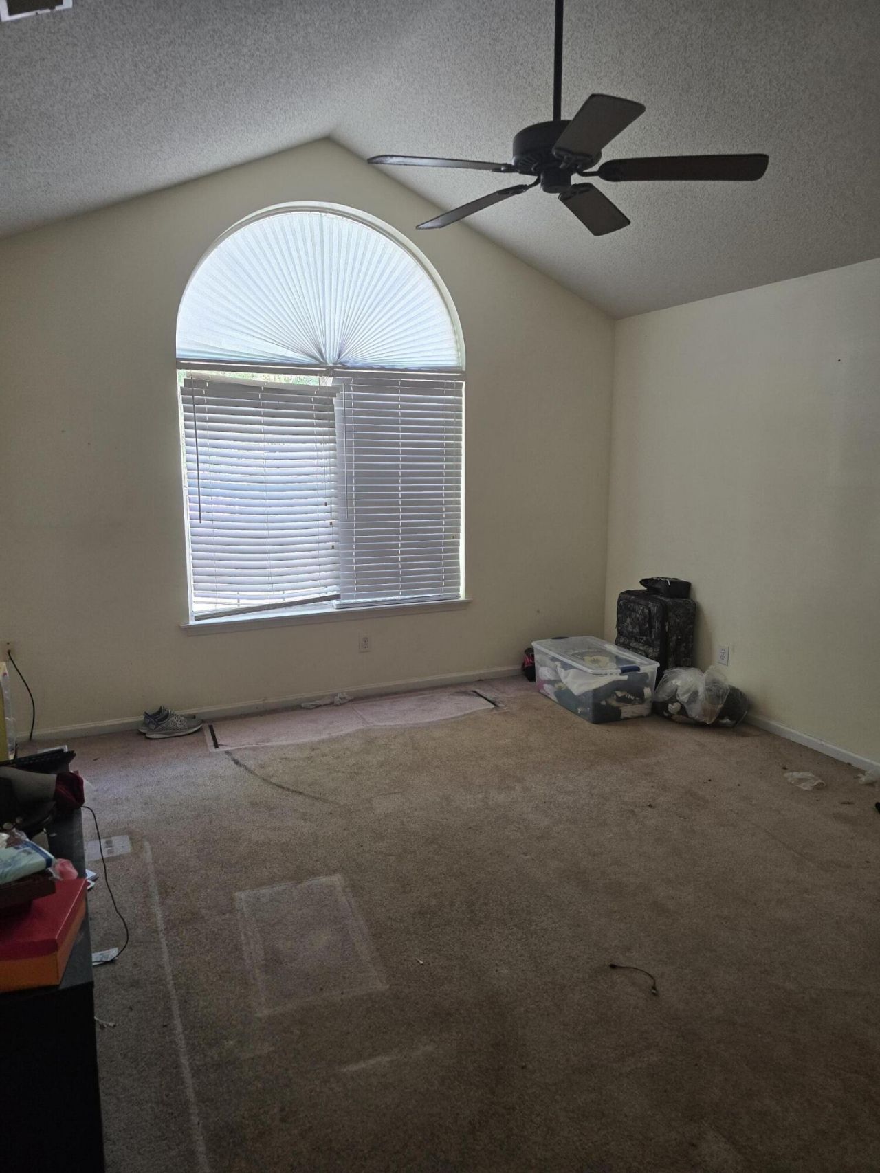 100 Fairbury Drive Photo 8