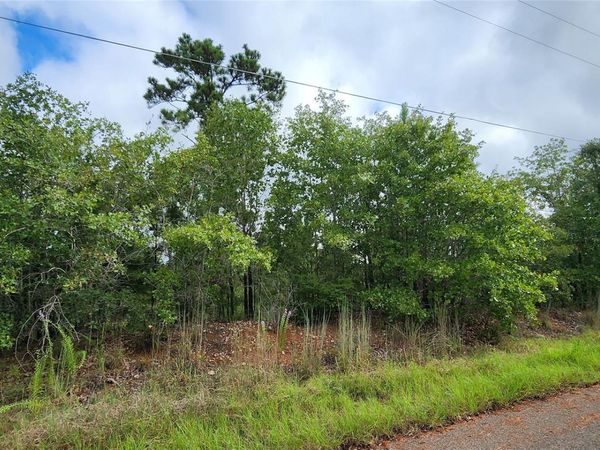TBD Homonu (Lot 104) CT, Bastrop, TX 78602