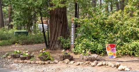 625 Larkspur Ct, Murphys, CA 95247 Photo