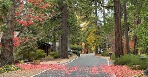 625 Larkspur Ct, Murphys, CA 95247 Photo