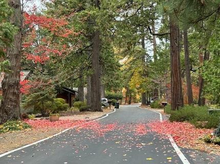 625 Larkspur Ct, Murphys, CA 95247 Photo