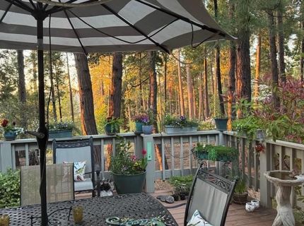 625 Larkspur Ct, Murphys, CA 95247 Photo