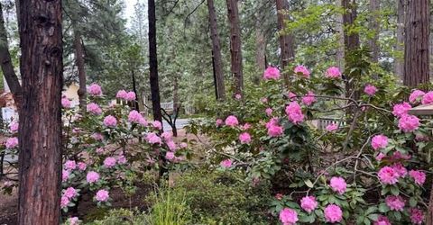 625 Larkspur Ct, Murphys, CA 95247 Photo