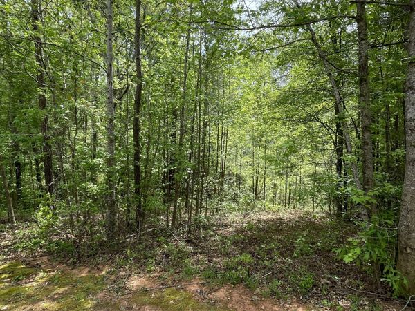 205 White Birch Drive, Covington, GA 30016