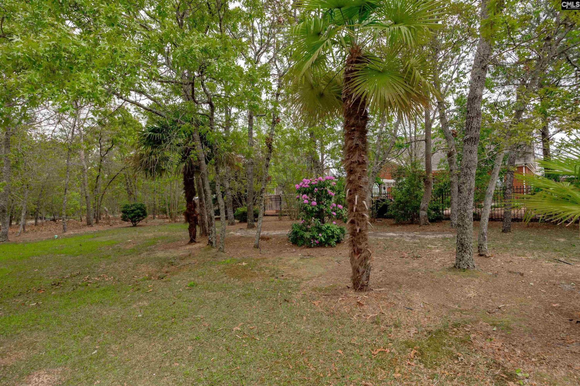 217 Longcreek Plantation Drive Photo 63