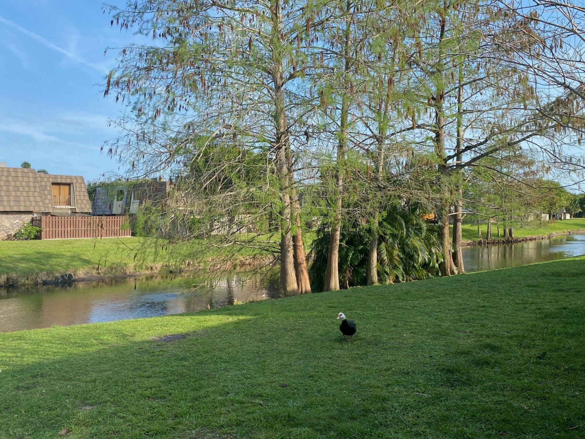 1705 Forest Lakes Circle, Unit C, West Palm Beach, FL 33406 Photo