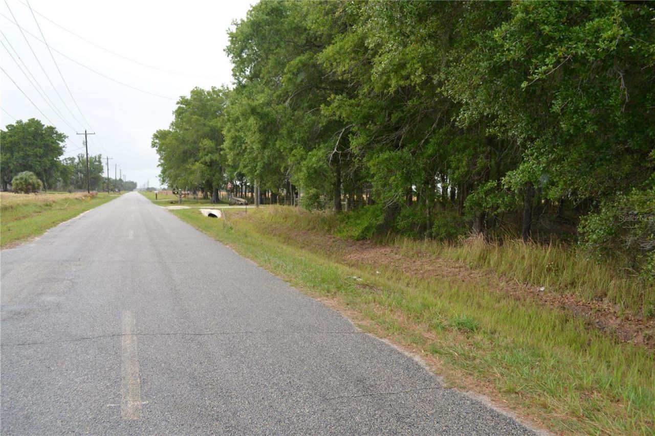 Bostick Road, Bowling Green, FL 33834 Photo