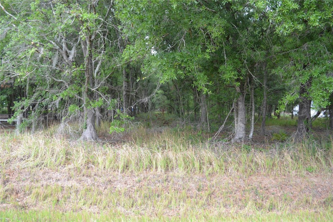 Bostick Road, Bowling Green, FL 33834 Photo