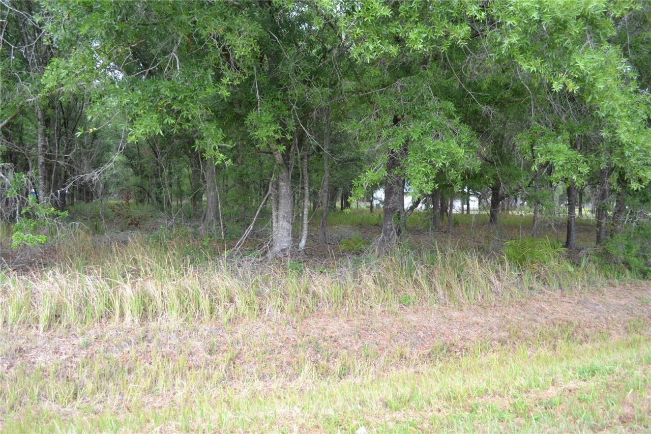 Bostick Road, Bowling Green, FL 33834 Photo