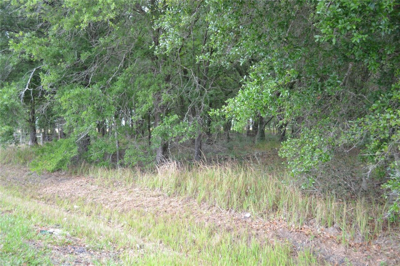 Bostick Road, Bowling Green, FL 33834 Photo