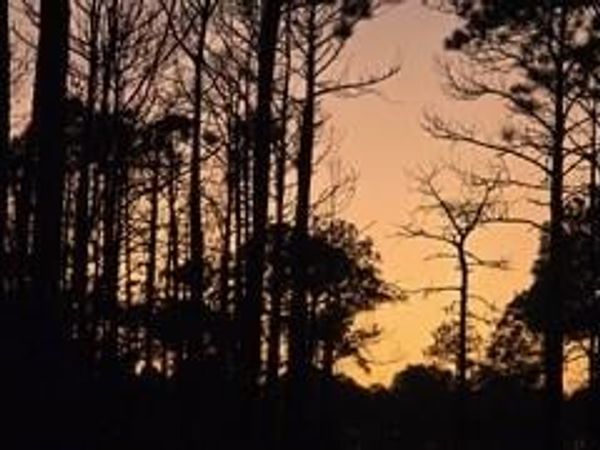 0 Dauphin Island Parkway, Coden, AL 36523