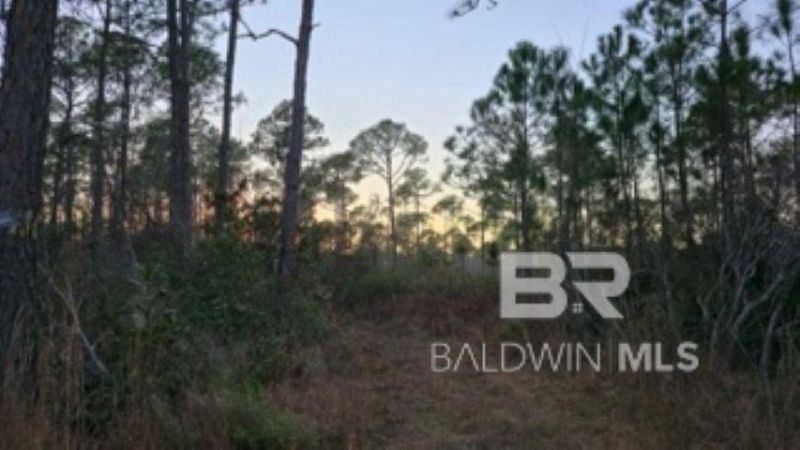 0 Dauphin Island Parkway, Coden, AL 36523 Main Photo