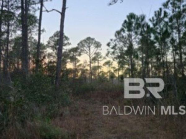 0 Dauphin Island Parkway, Coden, AL 36523