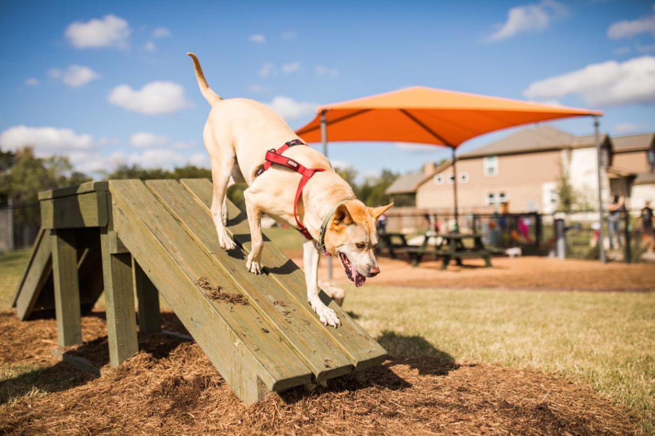 207 La Caleta Bnd , Liberty Hill, TX 78642 Main Photo