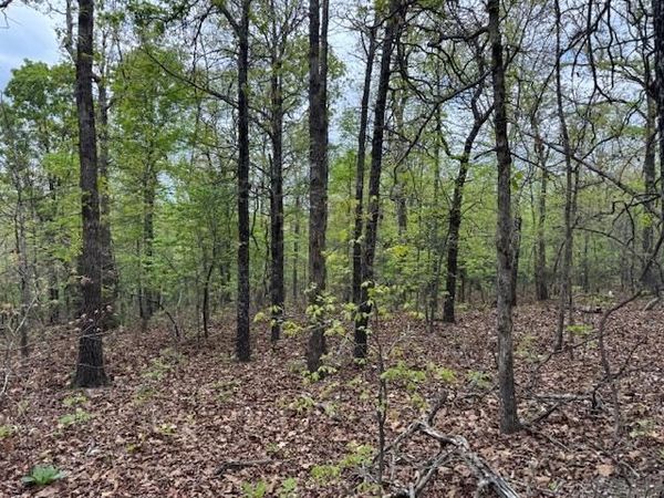 TBD Wirth Rd, Mammoth Spring, AR 72554
