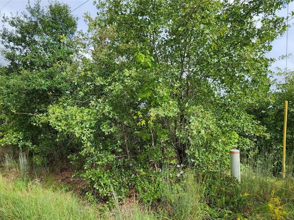 TBD Homonu (Lot 105) CT, Bastrop, TX 78602