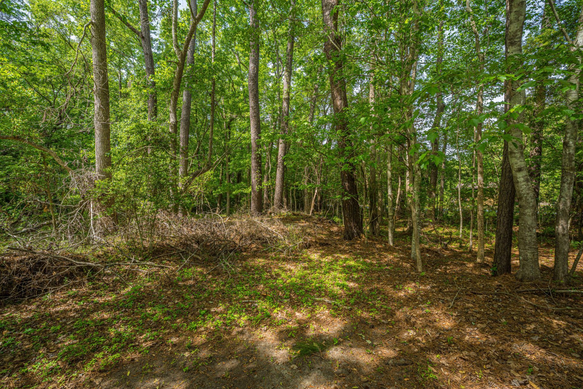 6037 Chisolm Road Photo 41