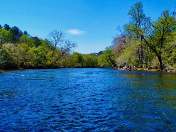 00 Toccoa River Forest, Mineral Bluff, GA 30559