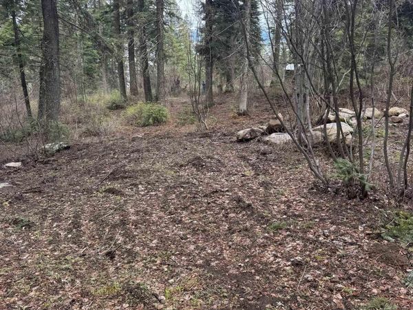 1204 Porcupine Road, Cascade, ID 83611