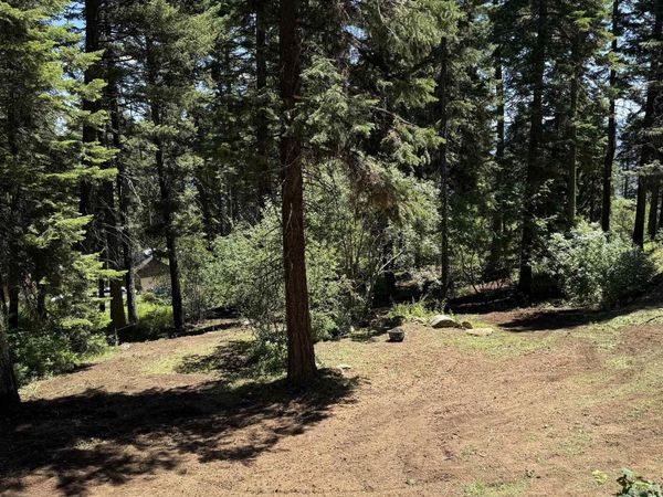 1204 Porcupine Road, Cascade, ID 83611