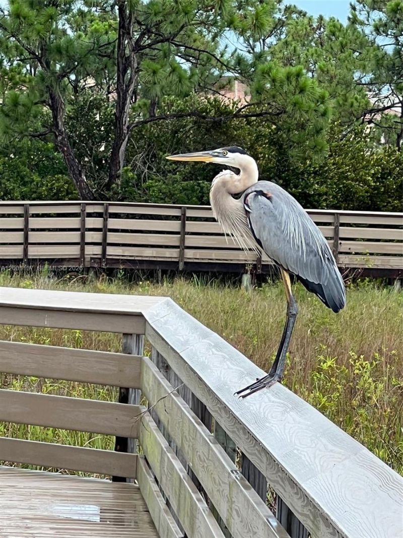 184 W Bay Cedar Cir, Jupiter, FL 33458 Photo