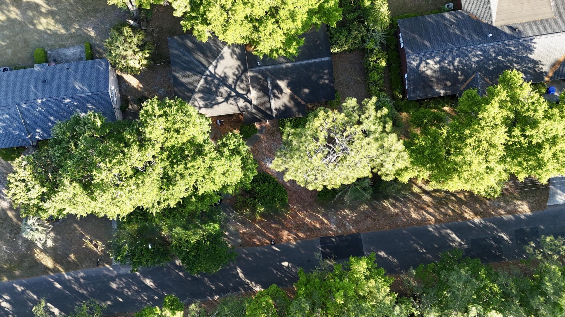 1330 Manor Boulevard Photo 19