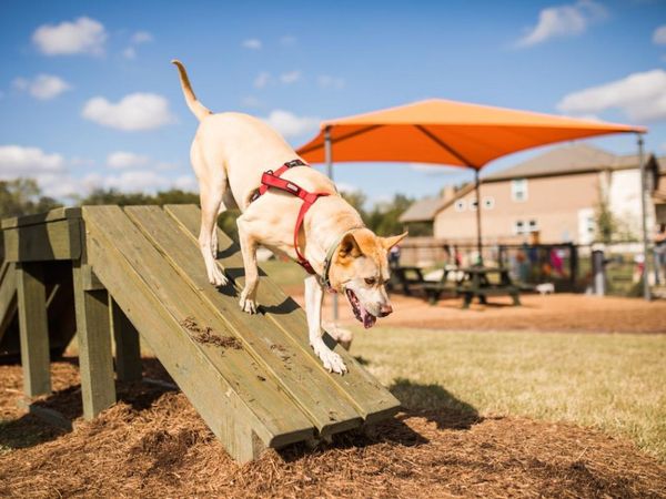 506 Cates CT , Liberty Hill, TX 78642