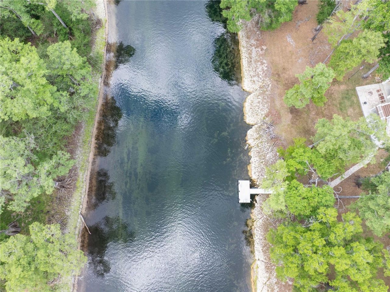 12890 NE 21st Terrace, Branford, FL 32008 Photo