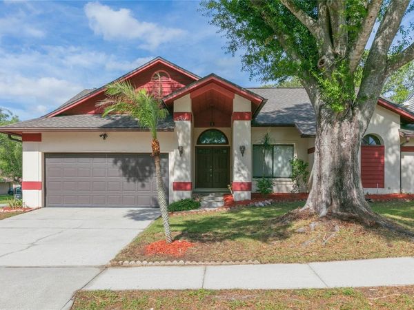 2528 BRIMHOLLOW DRIVE , VALRICO, FL 33596