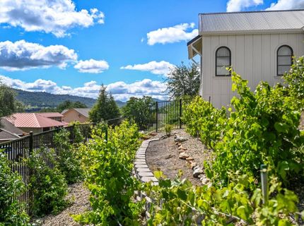 616 Selkirk Ranch, Angels Camp, CA 95222 Photo