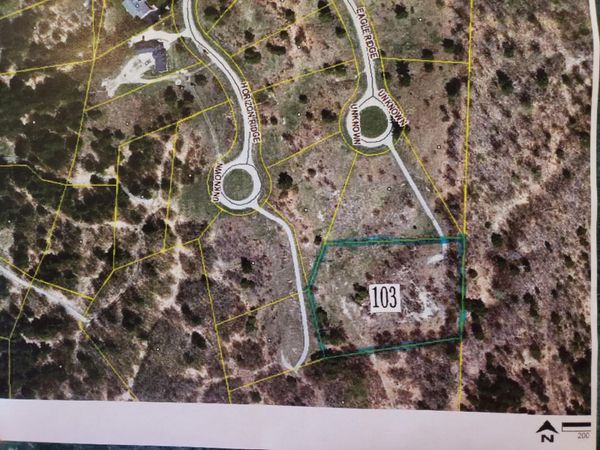 Eagle Ridge Circle, Unit Lot 103, Onekama, MI 49675