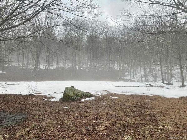 804 Hearts Content Road , Cairo, NY 12413