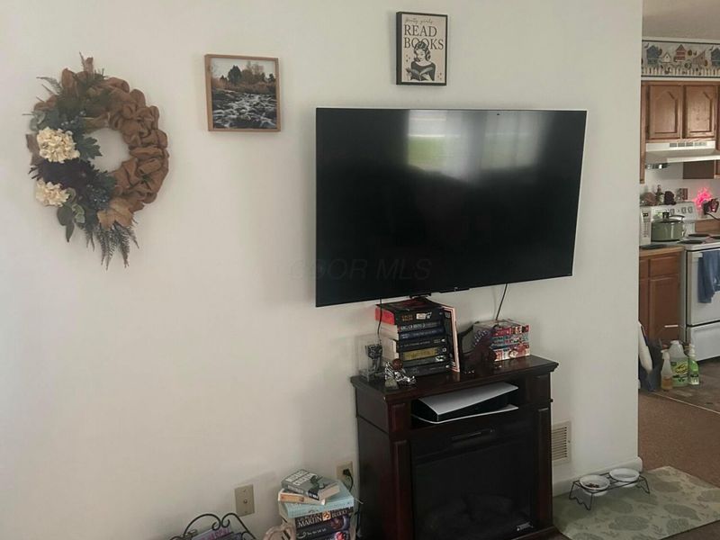 305 N Elm Street, Prospect, OH 43342 Photo 15