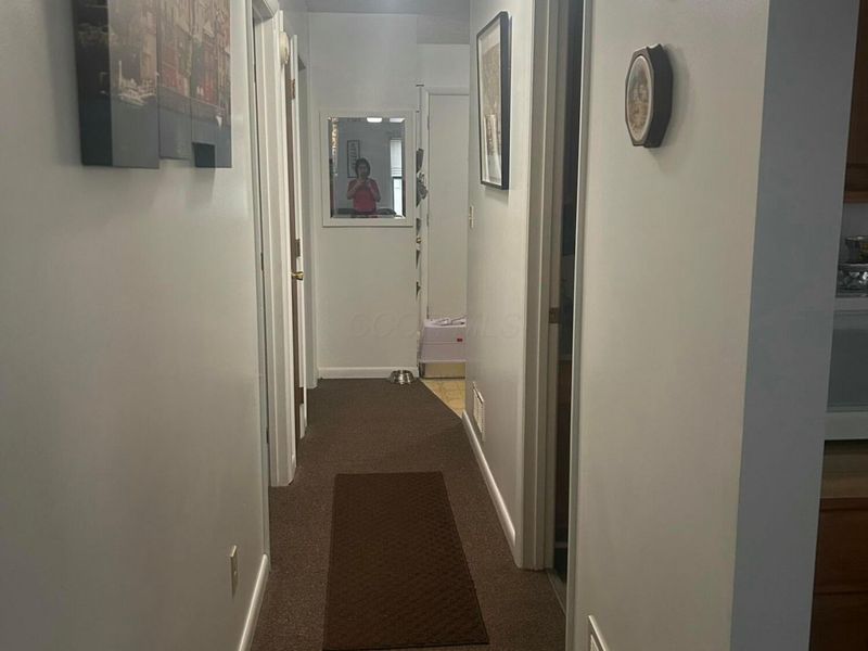 305 N Elm Street, Prospect, OH 43342 Photo 16