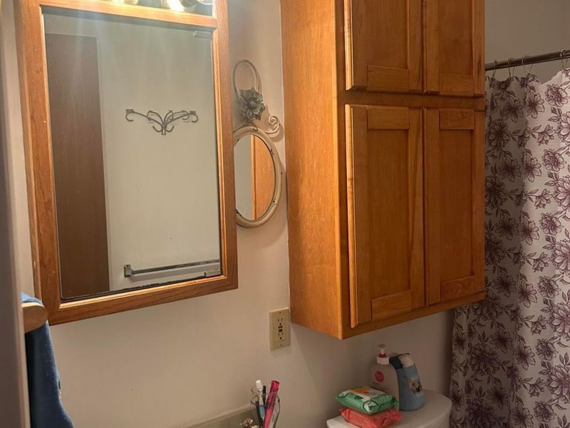 305 N Elm Street, Prospect, OH 43342 Photo 19