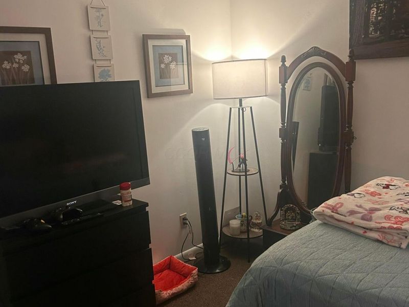 305 N Elm Street, Prospect, OH 43342 Photo 20