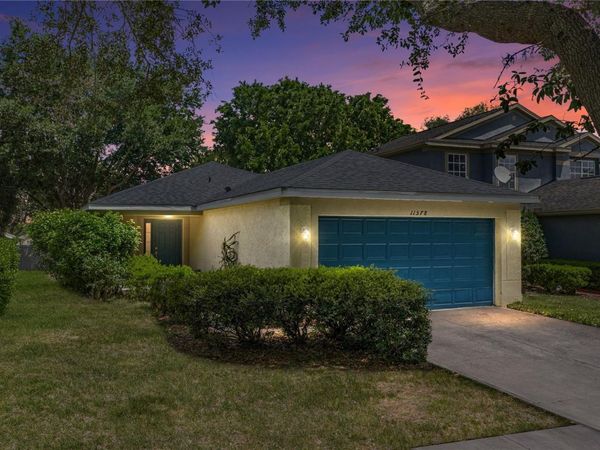 11578 HAMMOCKS GLADE DRIVE , RIVERVIEW, FL 33569