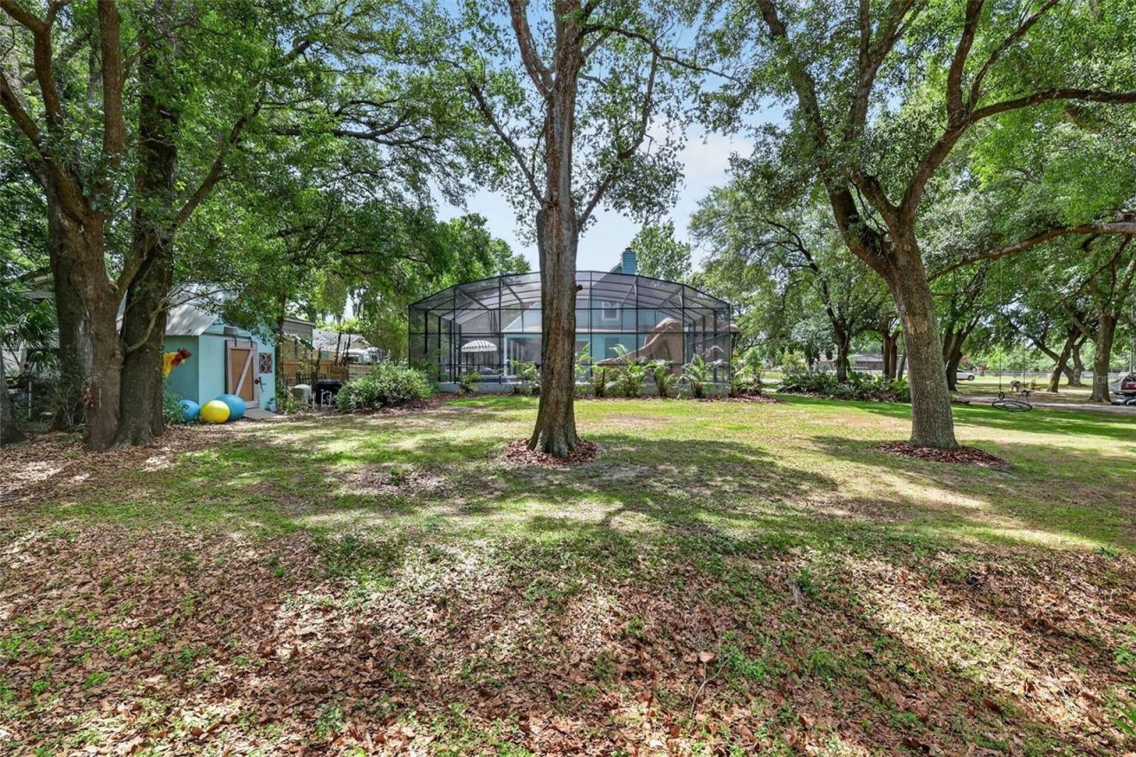 250 N Walker Street, Oakland, FL 34760 Photo