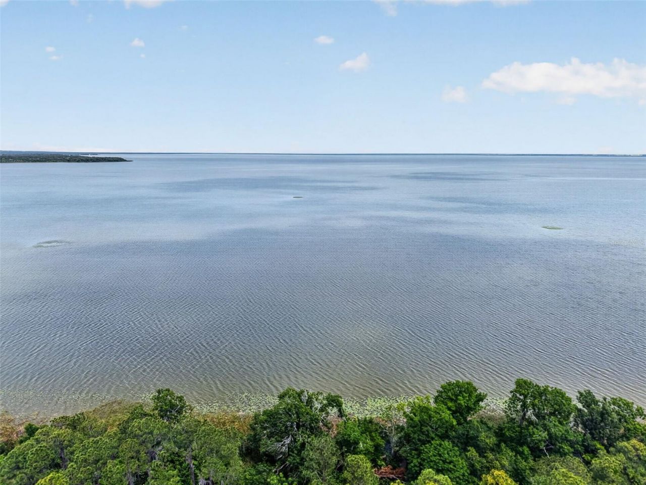250 N Walker Street, Oakland, FL 34760 Photo