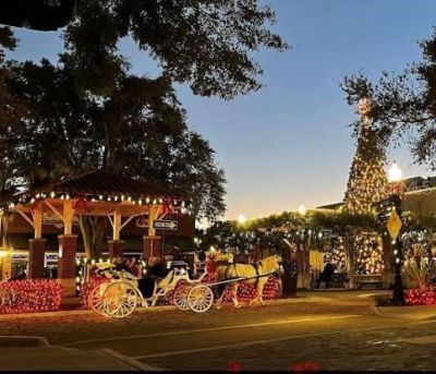 250 N Walker Street, Oakland, FL 34760 Photo