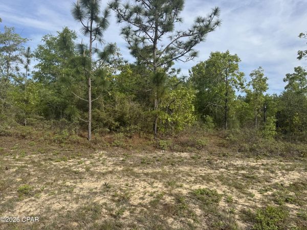 0000 Greenview Drive , Chipley, FL 32428