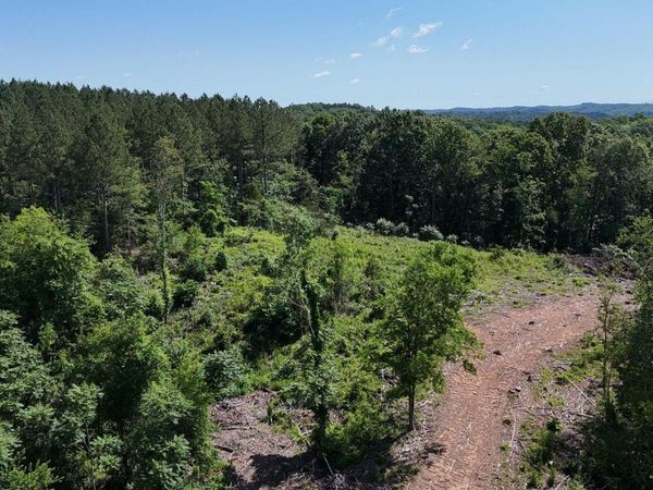 Lot 2 Lamontville Road, Decatur, TN 37322